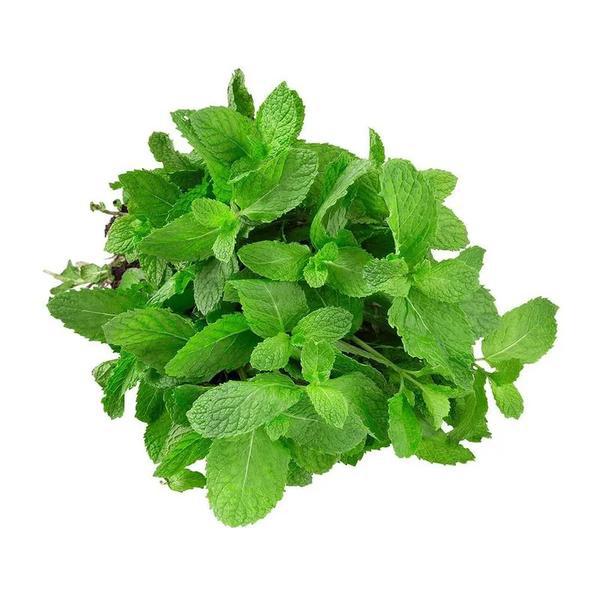 HORTELA MIUDO UN