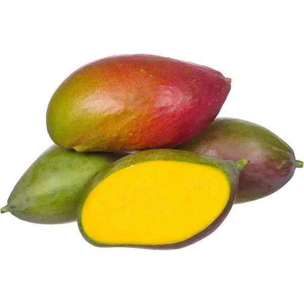 MANGA PALMER EXTRA KG