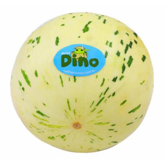 MELAO DINO KG