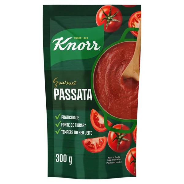 MOLHO TOM KNORR PASSATA SC 300G