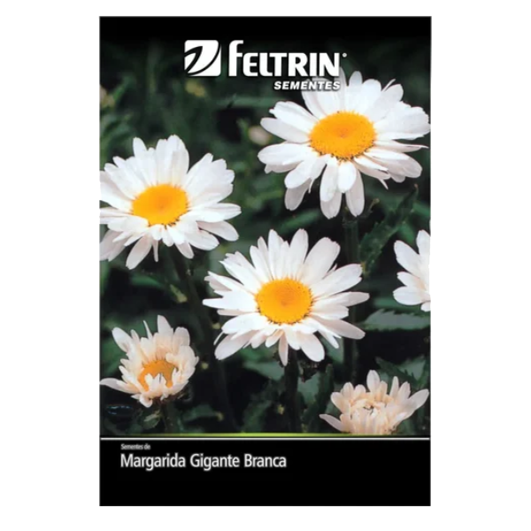 SEMENTES FELTRIN MARGARIDA GIGANTE BRANCA