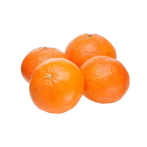 TANGERINA IMP ELEG KG