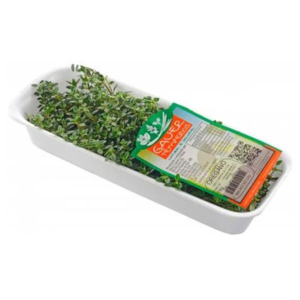 OREGANO BDJ/16GR GAUER