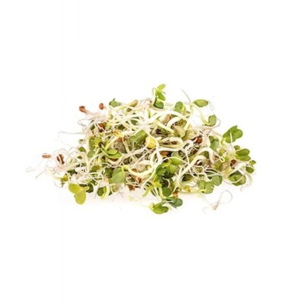 BROTO DE ALFAFA BROTTAR 115GR