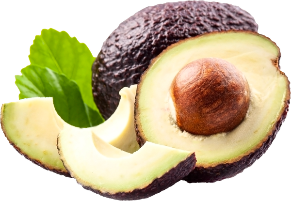 ABACATE AVOCADO ORGAN 500G TERRA