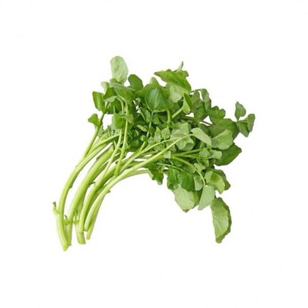 AGRIAO SALADA