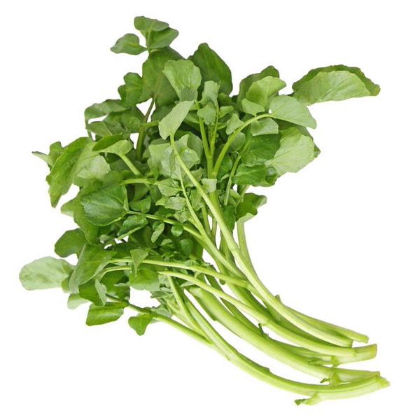 AGRIAO SALADA UN