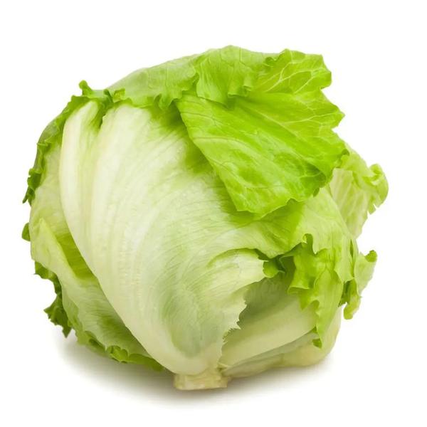 ALFACE AMERICANA HORTFELIX 200G