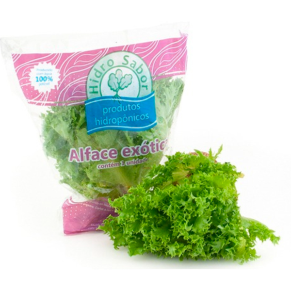 ALFACE EXOTICA HIDROPÔNICA HIDROSABOR