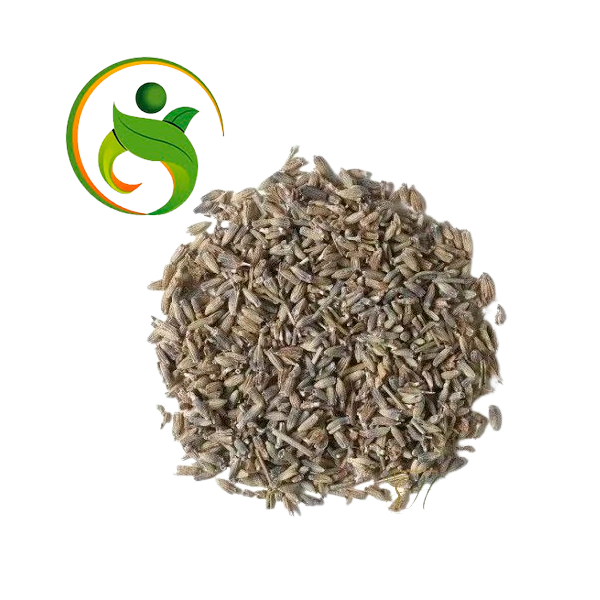 ALFAZEMA GRAO TERRA 15G