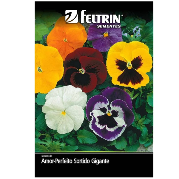 SEMENTES FELTRIN AMOR P 100