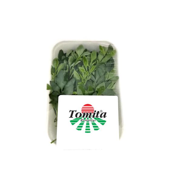 ARRUDA TOMITA 30G