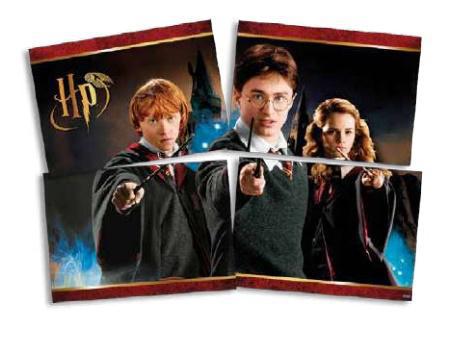 PAINEL 4 LAMINAS HARRY POTTER FESTCOLOR