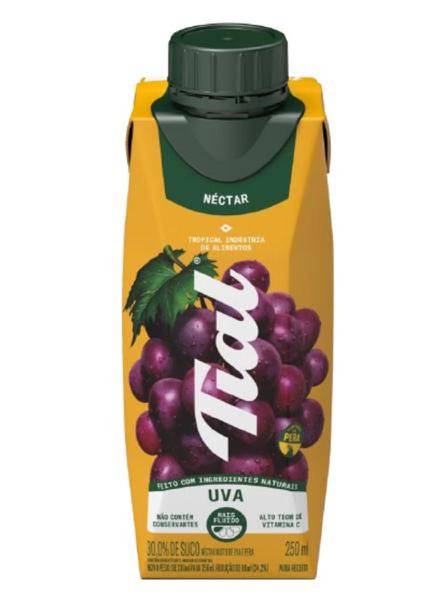 BEB SUCO DE UVA 250ML TIAL