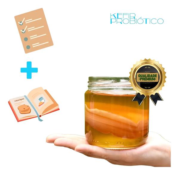 SUCO SCOBY KOMBUCHA 500ML ORIGINAL