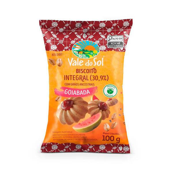 BISC.VALE SOL100GR INT. GOIABADA