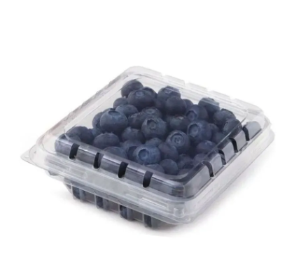 Mirtilo Blueberry Silvestrin 125g