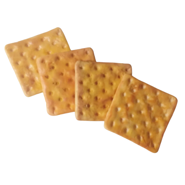 BISC N.S. FATIMA AGUA E SAL 300G