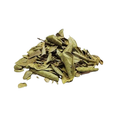 BOLDO GRAO TERRA 15G