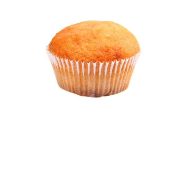 BOLINHO RANCHEIRO LAR 56GR