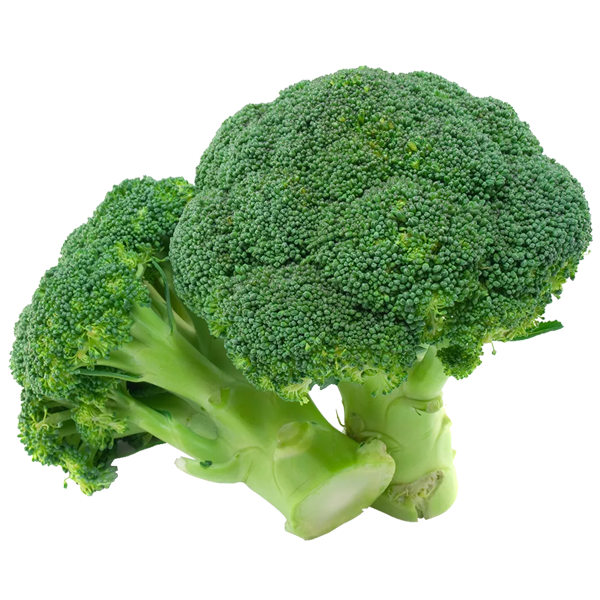 BROCOLIS KG