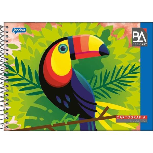 CADERNO CARTOGRAFIA JANDAIA BASIC ART 48FLS