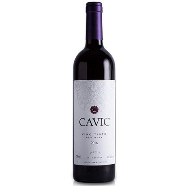 VINHO ARGENT CAVIC TTO DEM.750ML