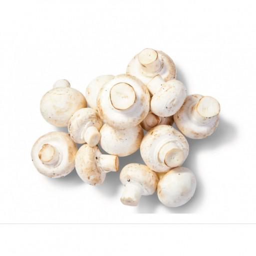 CHAMPIGNON DE PARIS 200G