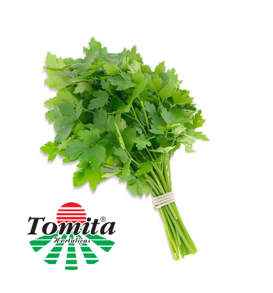 COENTRO TOMITA UN