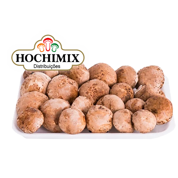 COGUMELO PORTO BELLO HOCHIBRA 200G
