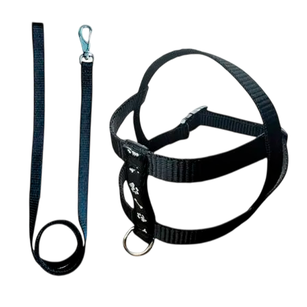 COLEIRA C GUIA ARTNYLON CCG-03