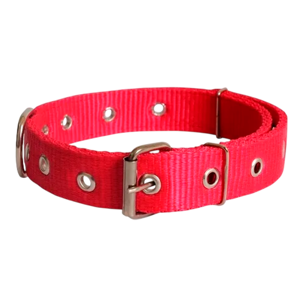 COLEIRA ARTNYLON DUPLA CCD-05