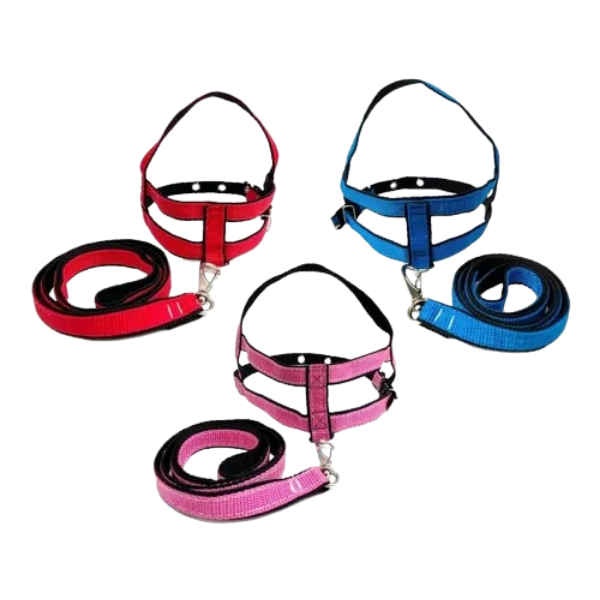 COLEIRA ARTNYLON SIMPLES CC-00