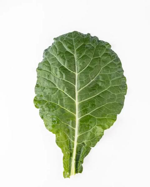 COUVE MANTEIGA CAMPO OURO VERDE UN