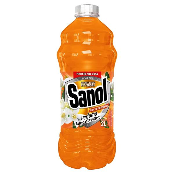 DESINF.SANOL 2L LARANJEIRA