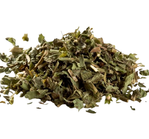 ERVA CIDREIRA GRAO TERRA 15G