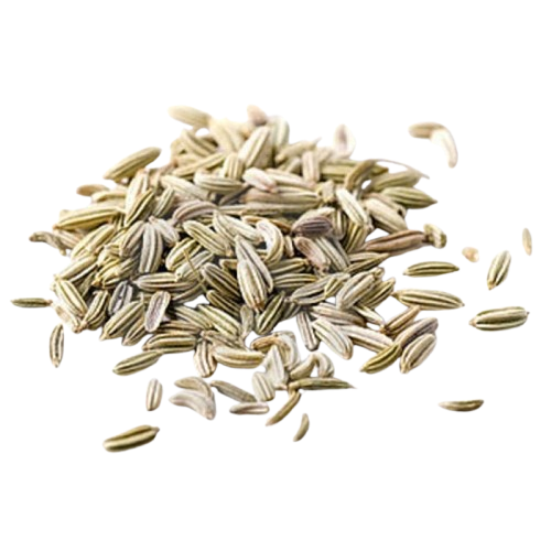 ERVA DOCE GRAO TERRA 20G