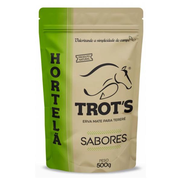 ERVA MATE TERERE TROTS 500G HORTELA
