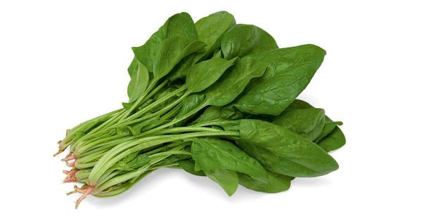 ESPINAFRE UN