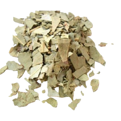 EUCALIPTO GRAO TERRA 10G