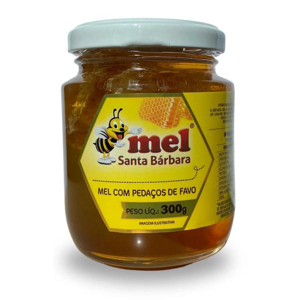 MEL SANTA BARBARA COM CRAVO VIDRO 300G