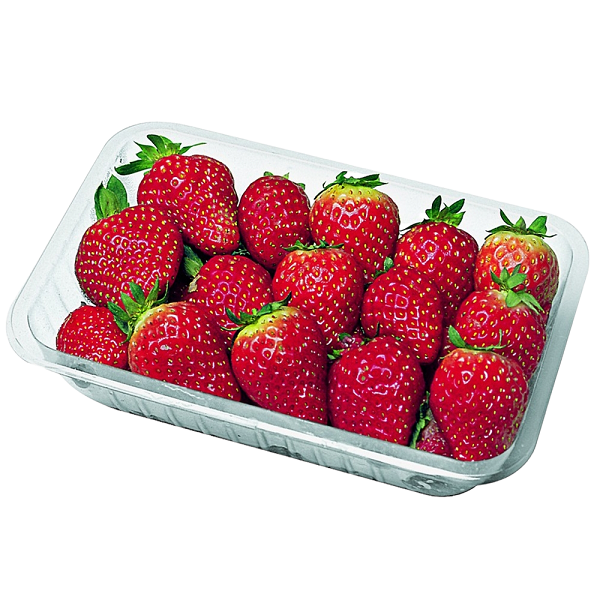 MORANGO