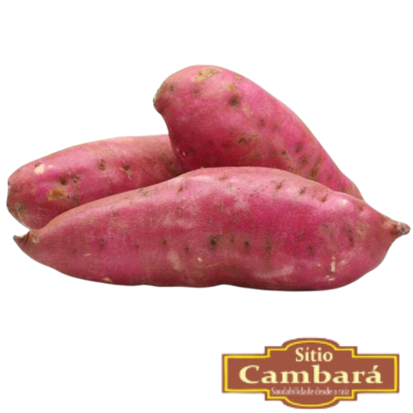 BATATA DOCE ORGANICA BJA 600G