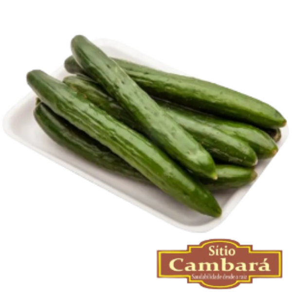 PEPINO JAPONES ORG GUIBOX 400G