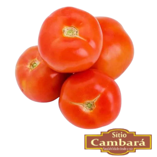 TOMATE ITAL ORG GUIBOX 500G