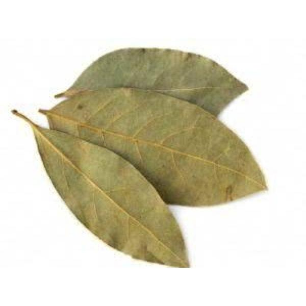 TEMP DAANA FOLHA DE LOURO 5G