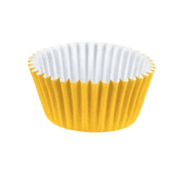 FORMA Nº06 COMUM AMARELO 100UN REGINA