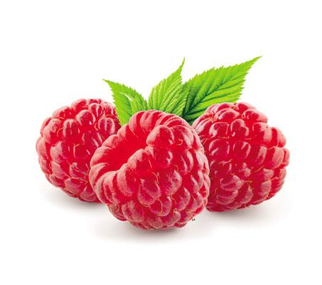 FRAMBOESA CONVENCIONAL BDJ 100G