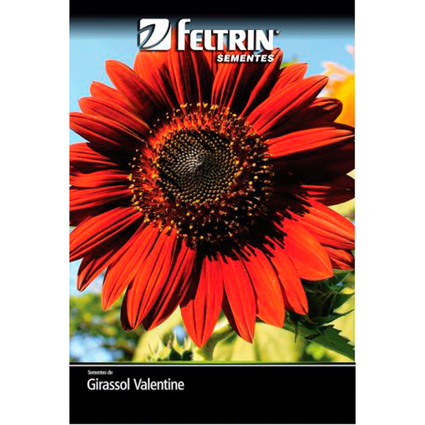 SEMENTES FELTRIN GIR VE 600