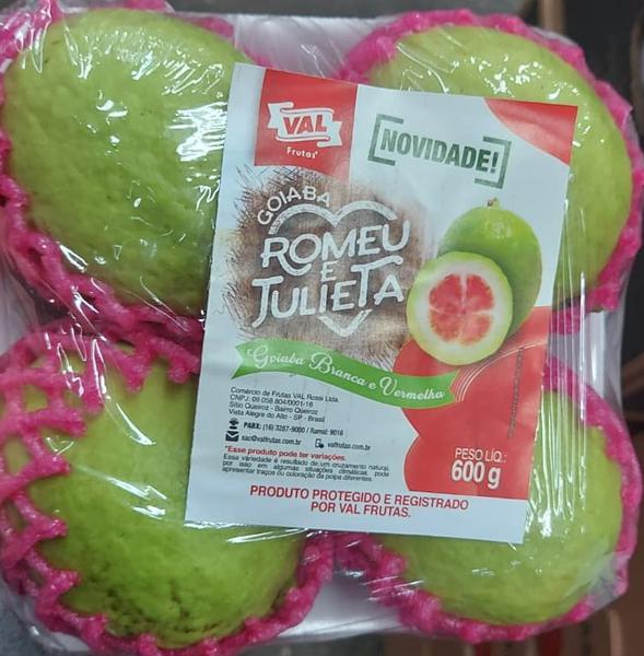 GOIABA ROMEU E JULIETA BDJ